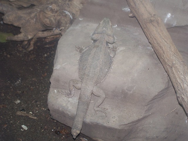 29. dubna 2006 14:29:47