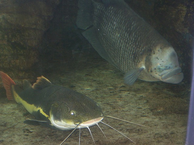 29. dubna 2006 14:31:55