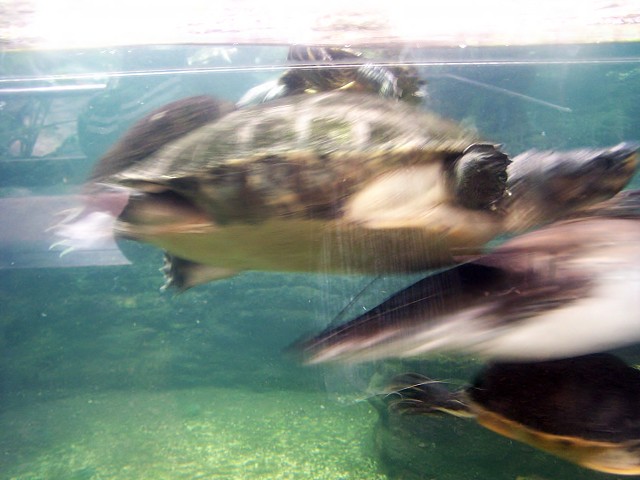 29. dubna 2006 14:34:36