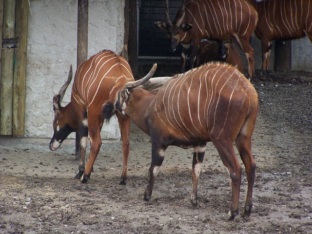 29. dubna 2006 11:05:14