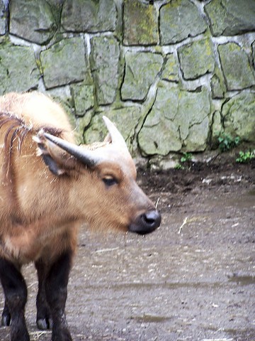 29. dubna 2006 11:09:52