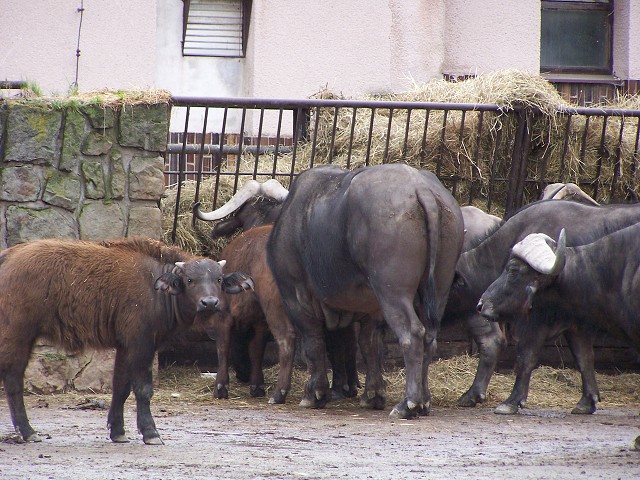 29. dubna 2006 11:12:24