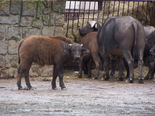29. dubna 2006 11:12:41