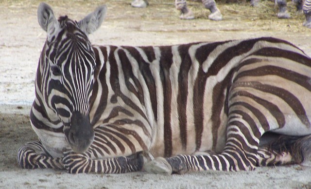 29. dubna 2006 11:15:39