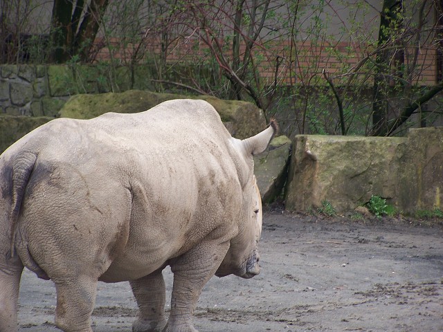 29. dubna 2006 11:35:21