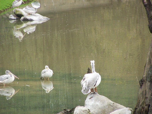29. dubna 2006 11:43:23