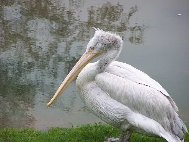 29. dubna 2006 11:46:58