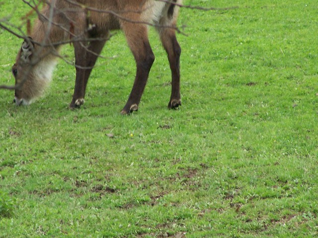 29. dubna 2006 12:13:06