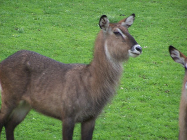 29. dubna 2006 12:13:20