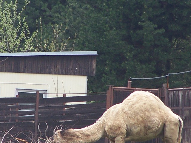 29. dubna 2006 13:16:26