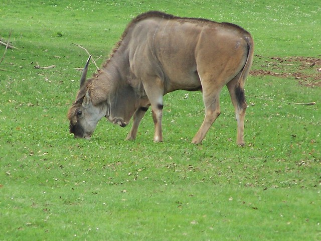29. dubna 2006 13:18:56