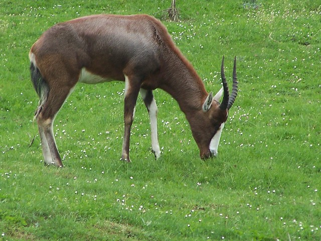 29. dubna 2006 13:21:22