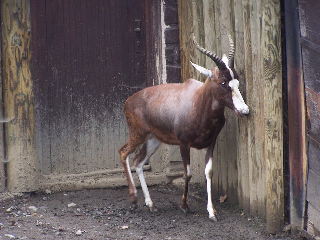 29. dubna 2006 13:37:39