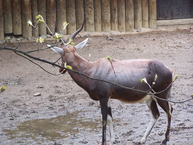 29. dubna 2006 13:39:15
