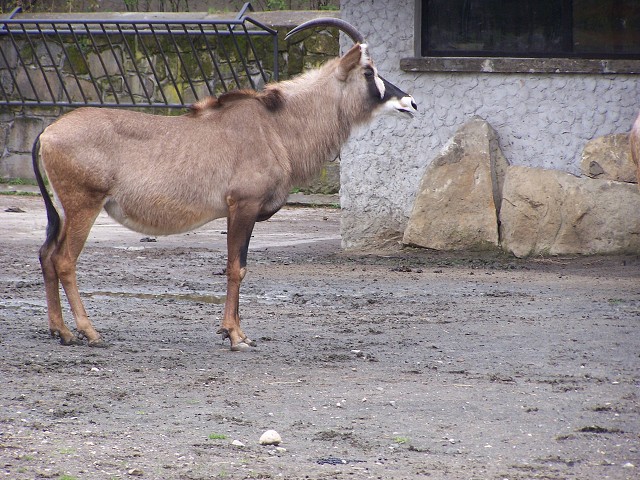 29. dubna 2006 13:51:32