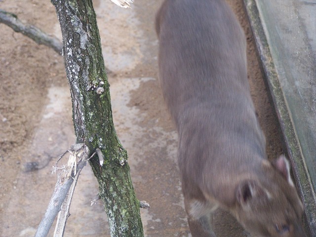 29. dubna 2006 13:59:21