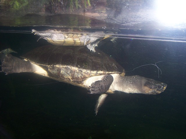 29. dubna 2006 14:37:50