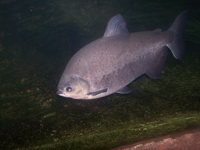 29. dubna 2006 14:39:55