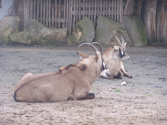 29. dubna 2006 14:41:17